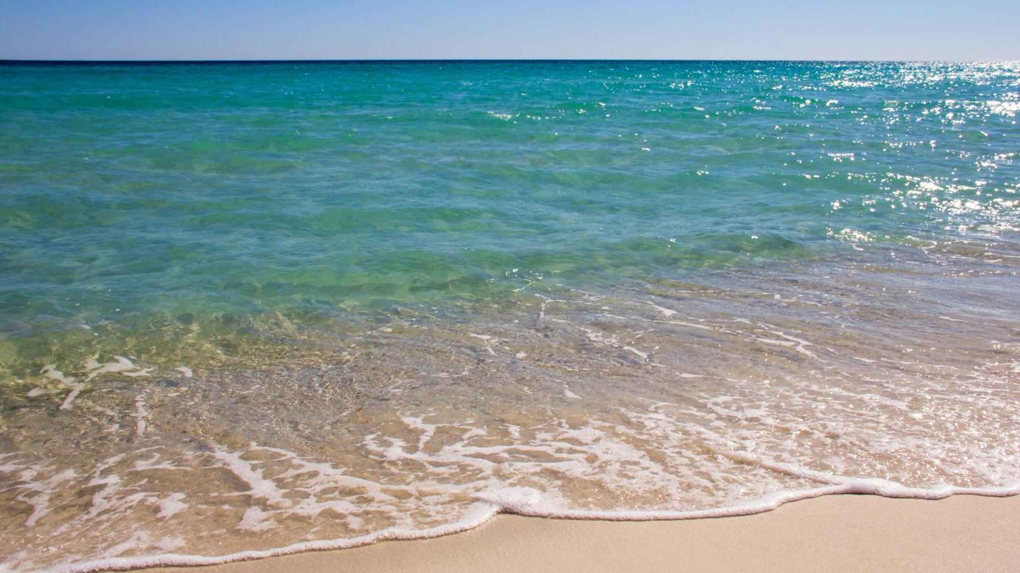 Cute Steps To The Beach! Panama Beach, Fl!